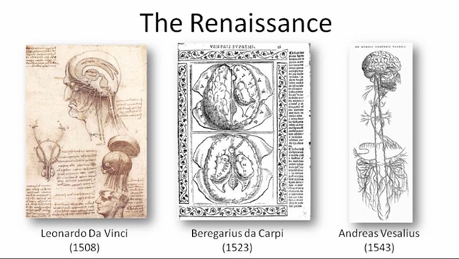 Images of developments in brain science during the Renaissance